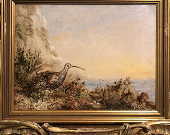 FINE ORNITHOLOGY PIECE Small Antique 19th Century  British old master oil painting in a Gold Gilt Frame