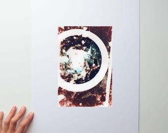 Experimental Colour Darkroom Photgram : Created through Embodiment and Ecological Connection