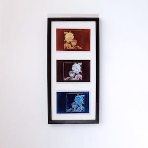 Flowergrams: Experimental Botanical Photogram, Framed RA4 Print (25x53cm)