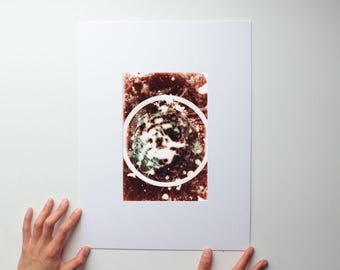 Experimental Colour Darkroom Photgram : Created through Embodiment and Ecological Connection