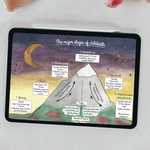 Digital illustration, The main stages of labor