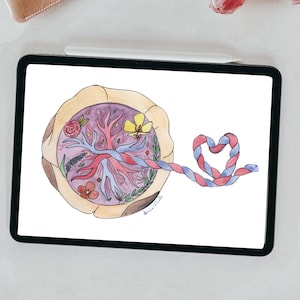 Lotus placenta digital illustration