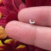 Half-moon Silver nose pain-Nose studs-nose piercing -handmade nose studs-gift for her-Minimalistic silver stud-piercing-20gauge moon studs