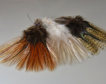 Coq de Leon feather Premium (12 Ud pack)