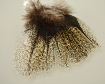 Authentic Coq de Leon feathers (12 units pack)