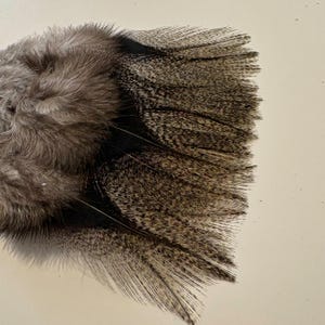 Authentic Coq de Leon feathers (12 units pack)