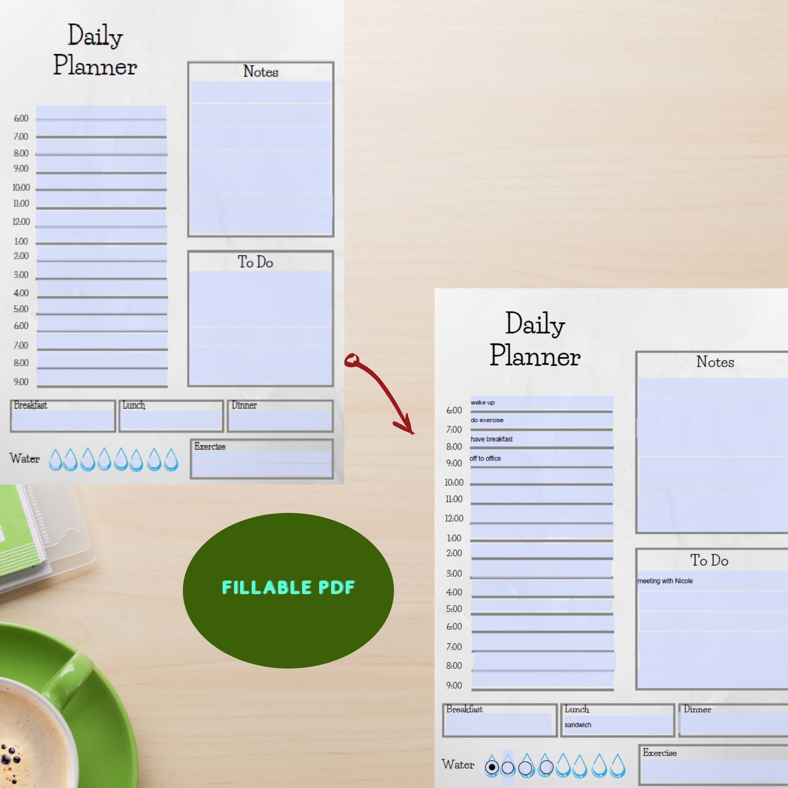 Fillable Daily Planner Printable A4 Planner Daily Agenda & - Etsy