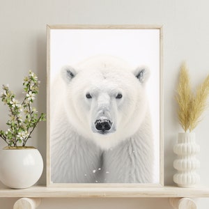 Polar Bear poster Print | Printed Polar Bear Art | Perfect for Framing | Polar Bear Decor | Wall Decor | Bear Art | Polar Bear | Bear Decor