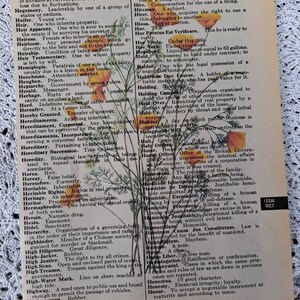 Four Floral Prints on old Vintage Dictionary Paper image 2