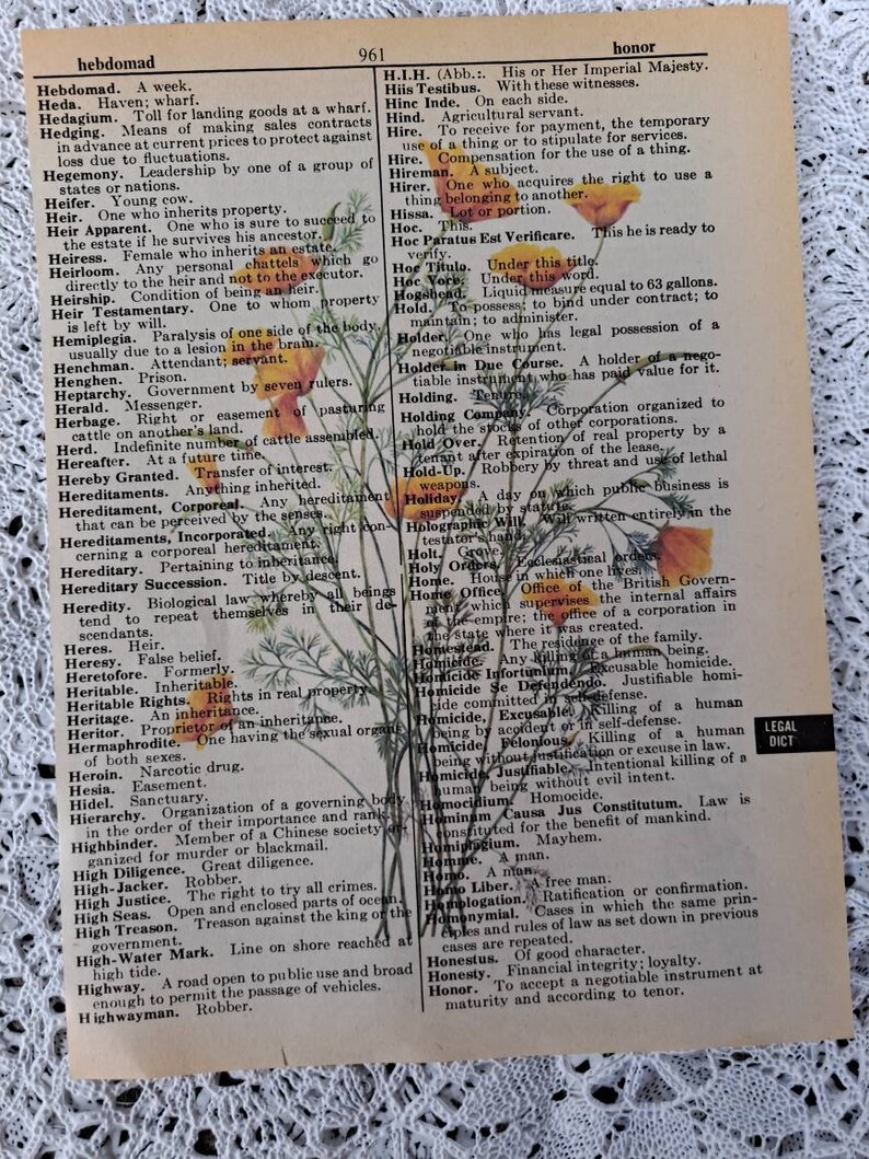 Four Floral Prints on old Vintage Dictionary Paper image 2