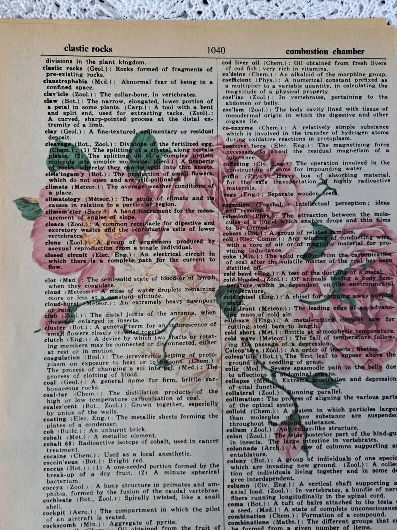 Four Floral Prints on old Vintage Dictionary Paper image 5