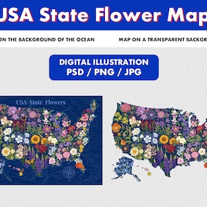 USA State Flowers / Educatieve Wall Art / State's Flower / alle 50 staten bloemen / Postkaart / Amerika bloemen / State Flower Chart