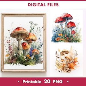 Aquarell Pilze Clipart, Printable 20 Illustrationen PNG - Digital Download, Botanische Kunst, Kartenherstellung, Digitales Papiermodell