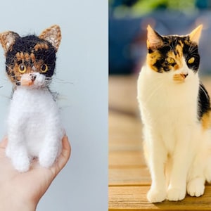 Chat au crochet personnalisé, peluche chat personnalisée, peluche personnalisée, cadeau personnalisé pour animal de compagnie, souvenir d'animal de compagnie, cadeau de Noël pour amoureux des chats