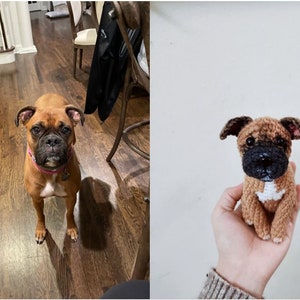 May include: A brown and white boxer dog stands on a wooden floor, looking at the camera. Next to the dog is a crocheted stuffed toy version of the dog, held in a person's hand.