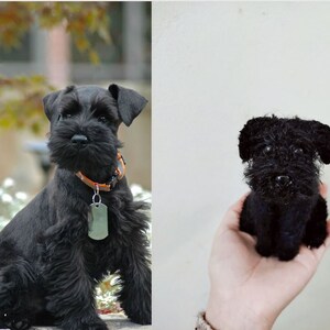 May include: A black miniature schnauzer dog plush toy. The plush toy is sitting in a person's hand. The plush toy has a black fur coat and a black nose.