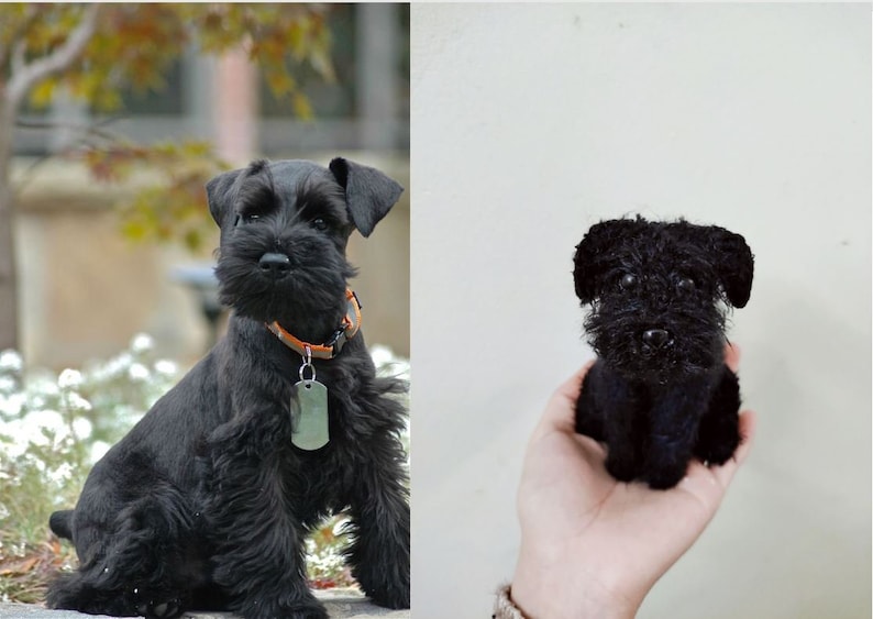May include: A black miniature schnauzer dog plush toy. The plush toy is sitting in a person's hand. The plush toy has a black fur coat and a black nose.