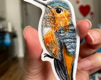 Cute Allen's Hummingbird nature vinyl sticker