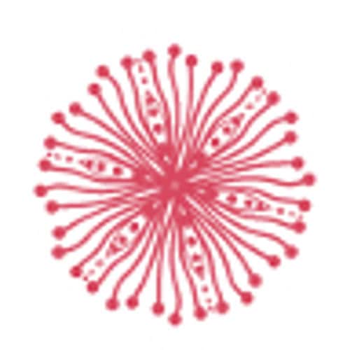 Calzini Alla Caviglia Con Polsino In Pizzo Di Qualità PROMOZIONALE - Foto 7