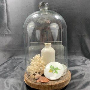 May include: A glass cloche with a wooden base, containing a white porcelain vase, a small white porcelain dish with a green floral design, and a piece of white coral.