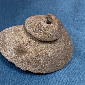 Puede incluir: Una pequeña piedra de color marrón, de forma irregular, con una protuberancia en forma de espiral en la parte superior.