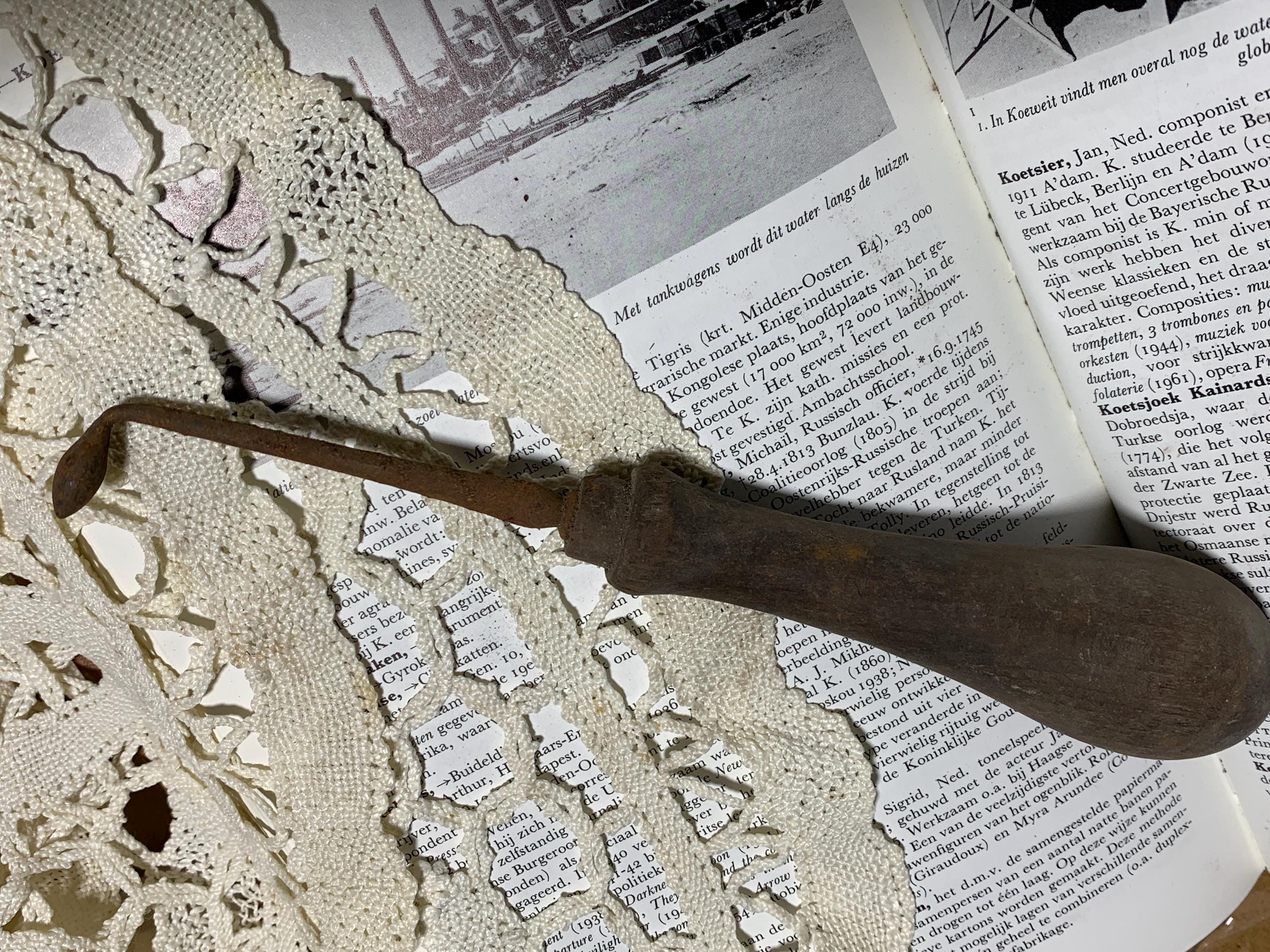 SEMENZA PER CALZOLAI Mis. 12 KG 1 - Foto 3