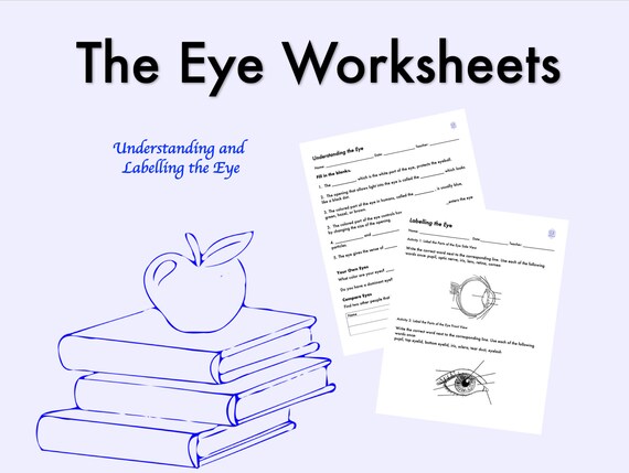 Understanding and Labelling the Eye Printable Worksheet Bundle | Etsy