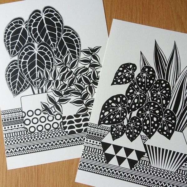 Pair of Black and White Botanical Prints, Contemporary Wall art, Original Prints