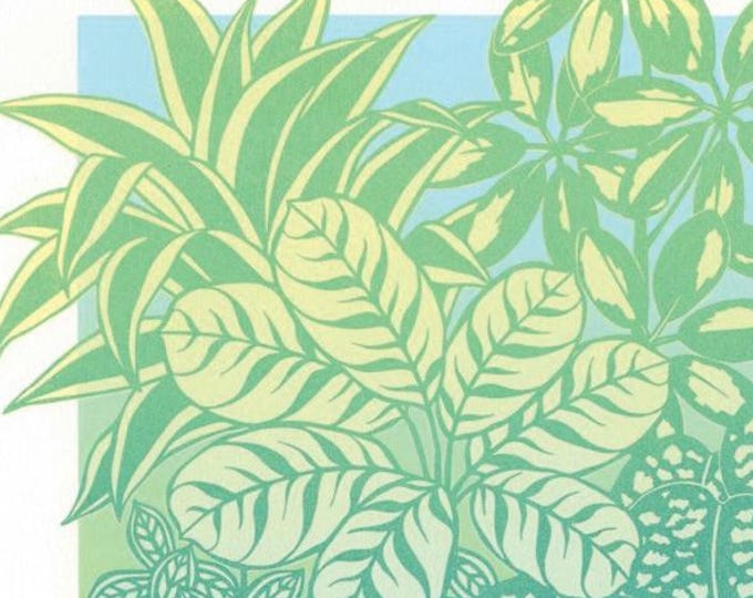Ctenanthe Screen print original botanical wall art