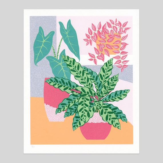 Calathea Screen Print, Botanical Wall Art, Original Print