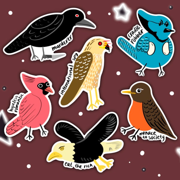 Bird Meme Stickers | Funny, Water bottle, Laptop, Birds Aren't Real, Internet Humor, Bird Cartoon, Birds are the Bourgeoisie, Crow, Hawk