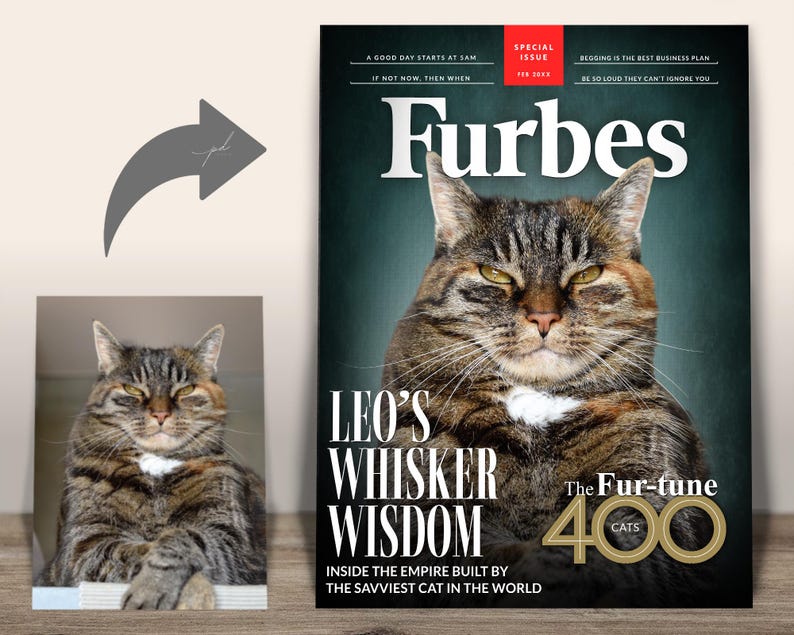 Custom Furbes Cat Magazine Cover — Cat photo transformed into Furbes “Whisker Wisdom” magazine cover.