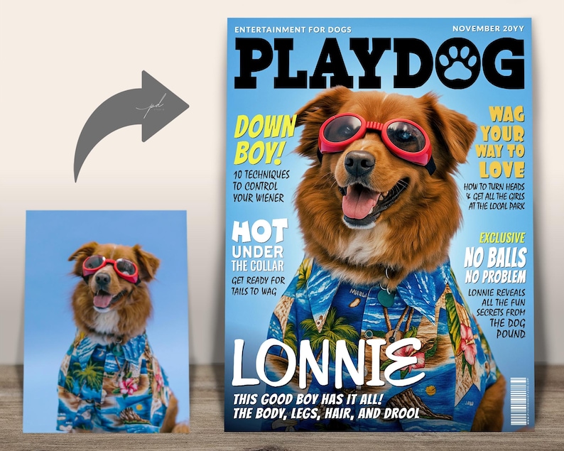 CUstrom Playdog Magazine Cover — Dog photo transformed into Playdog “Lonnie” fun pet magazine cover.