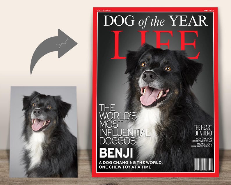 Custom Time Dog of the Year Magazine Cover — Personalized LIFE magazine-style cover featuring Benji, made-to-order dog portrait.