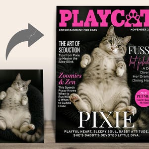 Custom Playcat Magazine Cover — Cat turned into Playcat “Pixie” parody magazine cover.