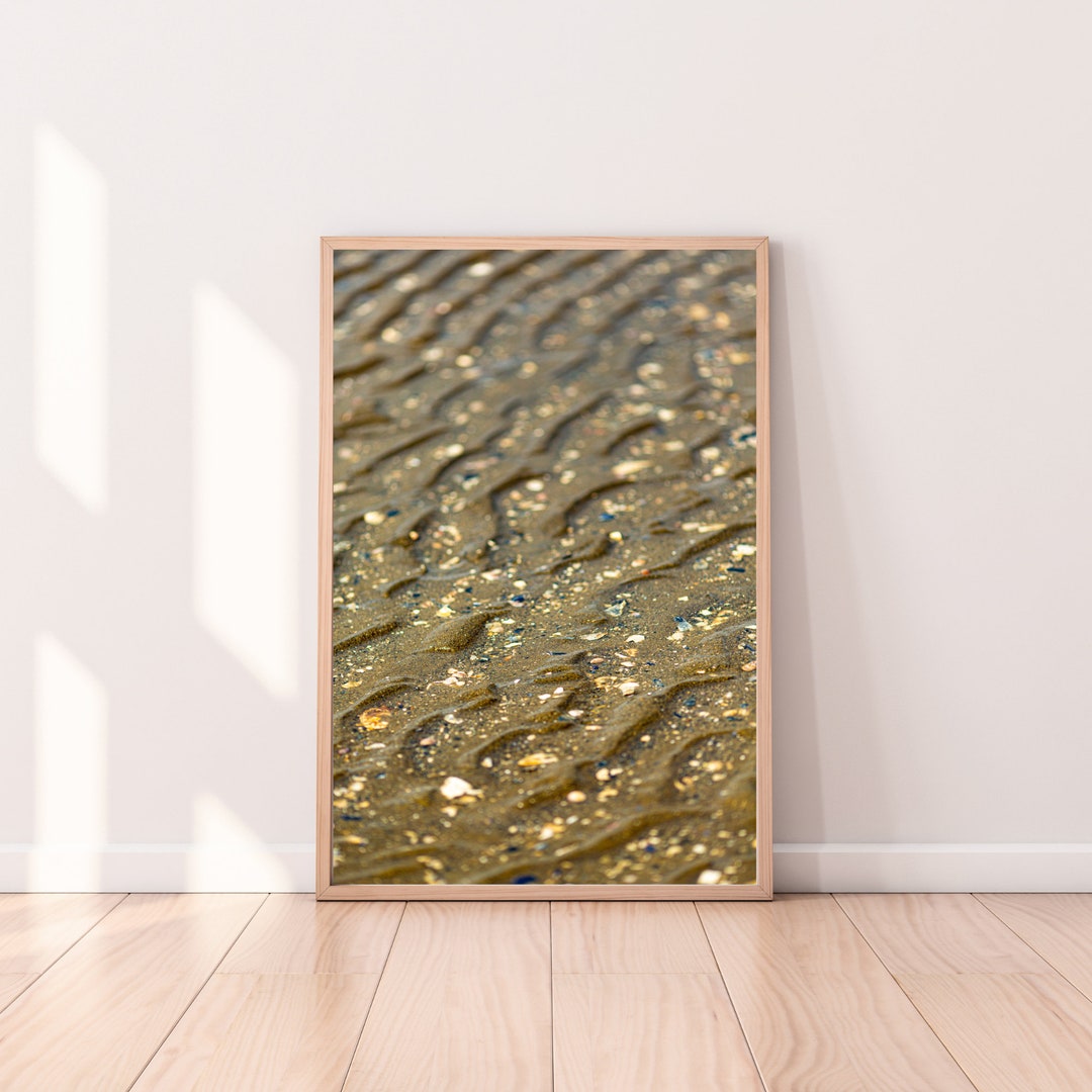Beach Sand Ripples and Shells Fine Art Giclee Photo Print - Etsy