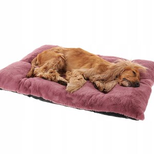 Pamek Hundekorb Tierbett, Hundebett, Katzenbett waschbar Flauschiges 100/70 cm, Strapazierfähigen Pelzstoff., Sehr weich und küschelig Bild 5