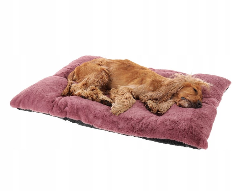 Pamek Hundekorb Tierbett, Hundebett, Katzenbett waschbar Flauschiges 100/70 cm, Strapazierfähigen Pelzstoff., Sehr weich und küschelig Bild 3