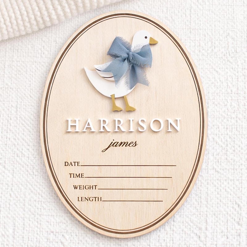 Baby Name Sign With Geese - Etsy