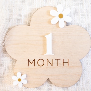 Wooden 3D flower monthly milestone sign | Daisy interchangeable milestone card | Baby photo props | Boho decor