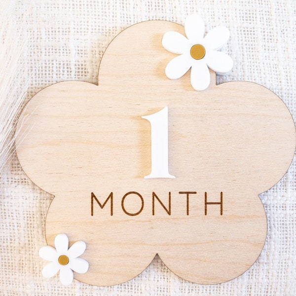 Wooden 3D flower monthly milestone sign | Daisy interchangeable milestone card | Baby photo props | Boho decor