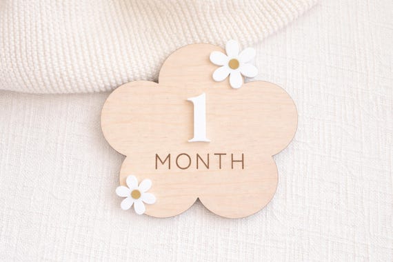 3D Wooden Daisy Baby Monthly Milestone Sign Cards 1-12 Months Interchangeable Monthly Milestone Wood Discs Announcement Sign For Baby Shower Newborn Photo Props Gifts(Pink - View #10