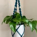 see more listings in the Plant Hangers section