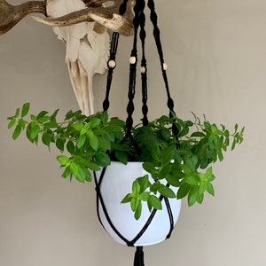 Peut inclure: Un porte-plante en macramé noir avec des perles en bois et un pot blanc avec une plante verte suspendu à un crâne de cerf.