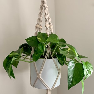 May include: A white macrame plant hanger with wooden beads, holding a potted green plant. The hanger is suspended from a wooden branch.