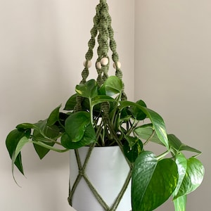 Peut inclure: Un porte-plante en macramé vert avec des perles en bois, tenant un pot blanc avec une plante verte.