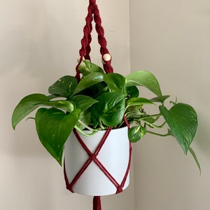 May include: A burgundy macrame plant hanger with wooden beads and a white pot, holding a green potted plant.