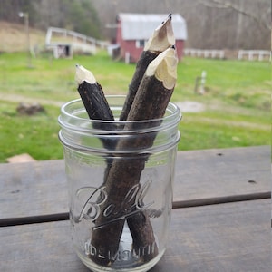 Rustic pencil, twig pencil, wood pencil (5)