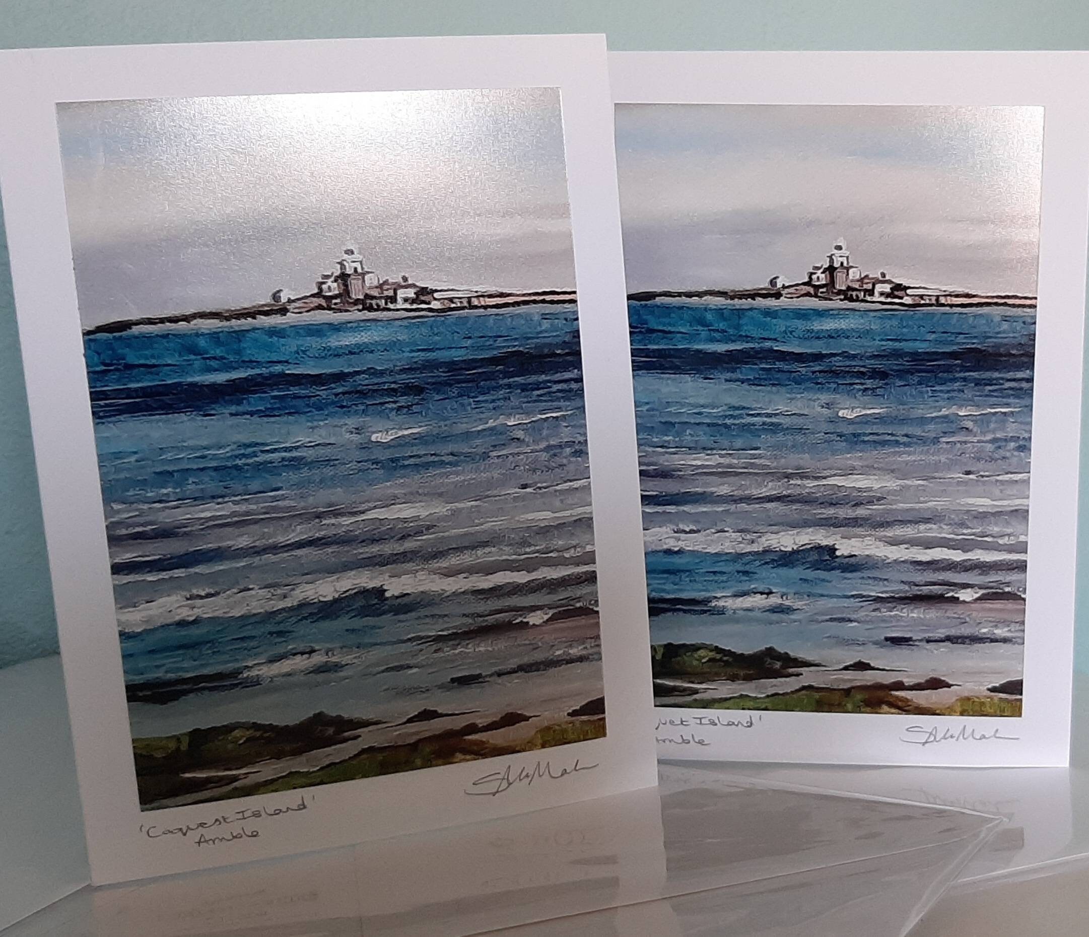 Coquet Island Amble Northumberland Etsy