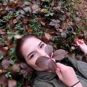 May include: A woman lies on a bed of fallen leaves, holding a large, dark purple leaf in front of her face. The leaf has five points and is reminiscent of a flower.